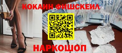 Альфа ПВП Камышлов