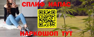 Альфа ПВП Камышлов